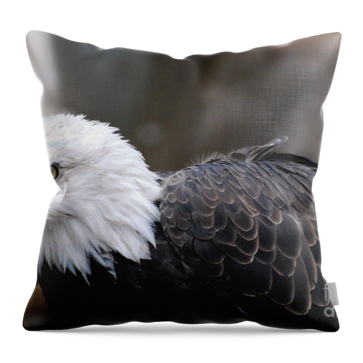 Eagle Throw Pillow featuring the photograph Eagle with Ruffled Feathers by DejaVu Designs