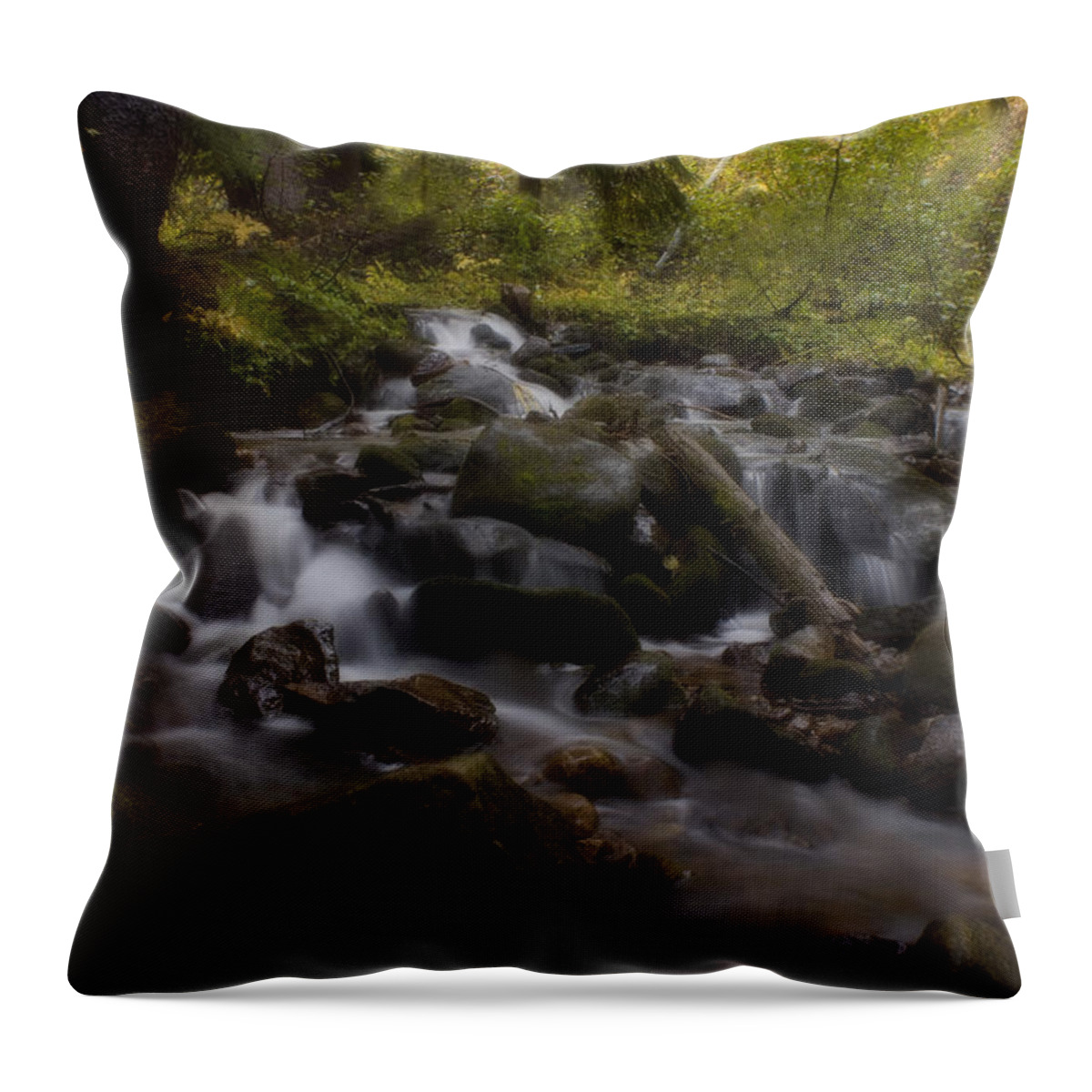 Colorado Throw Pillow featuring the photograph Early Autumn Cascades by Ellen Heaverlo