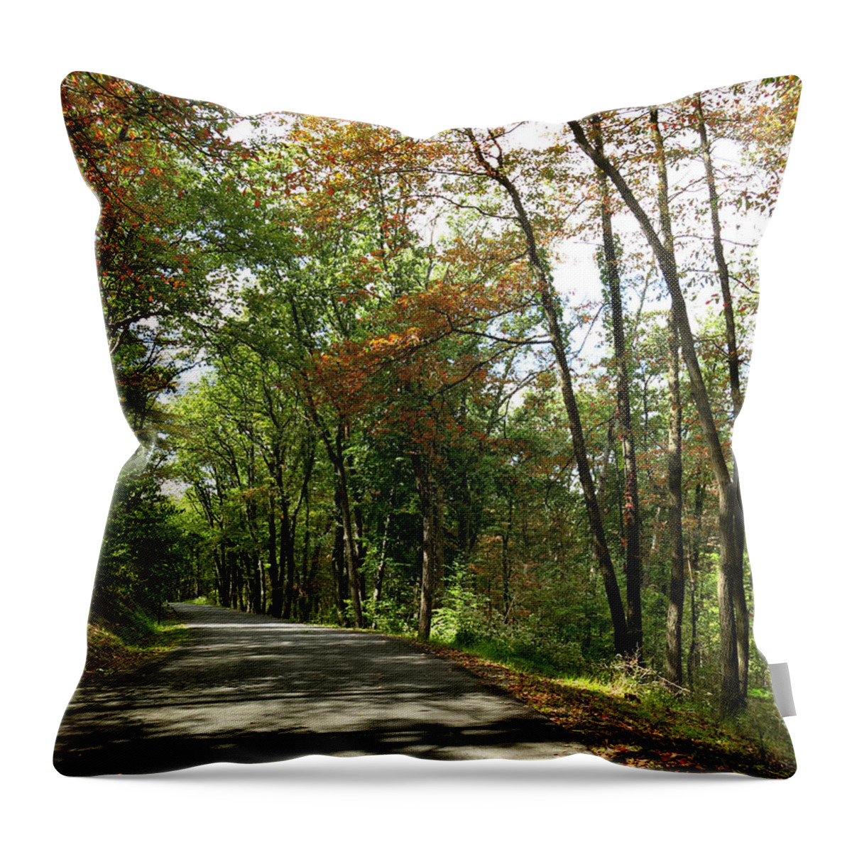 Autumn Throw Pillow featuring the photograph Early Autumn Drive by Jean Macaluso