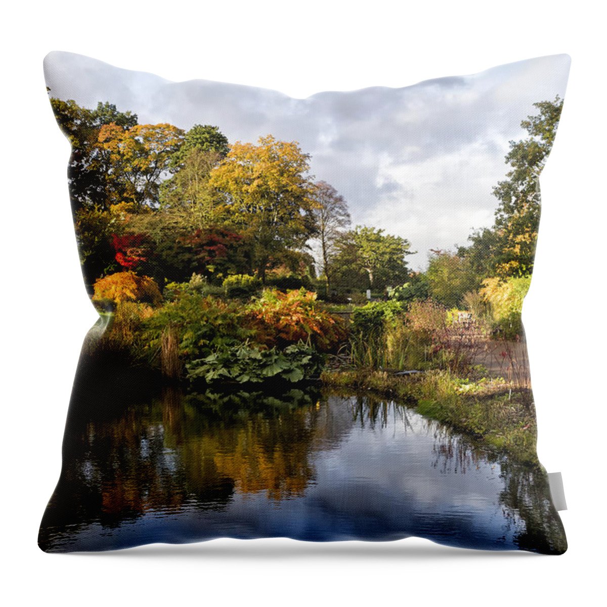 Nature Throw Pillow featuring the photograph Early Autumn Light by Shirley Mitchell