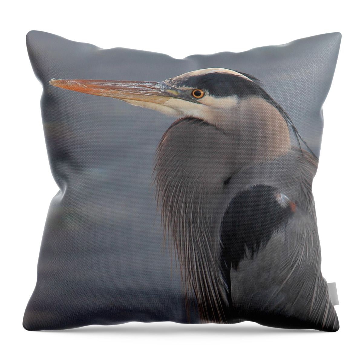 Bird Throw Pillow featuring the photograph Early Bird 2 by Randy Hall