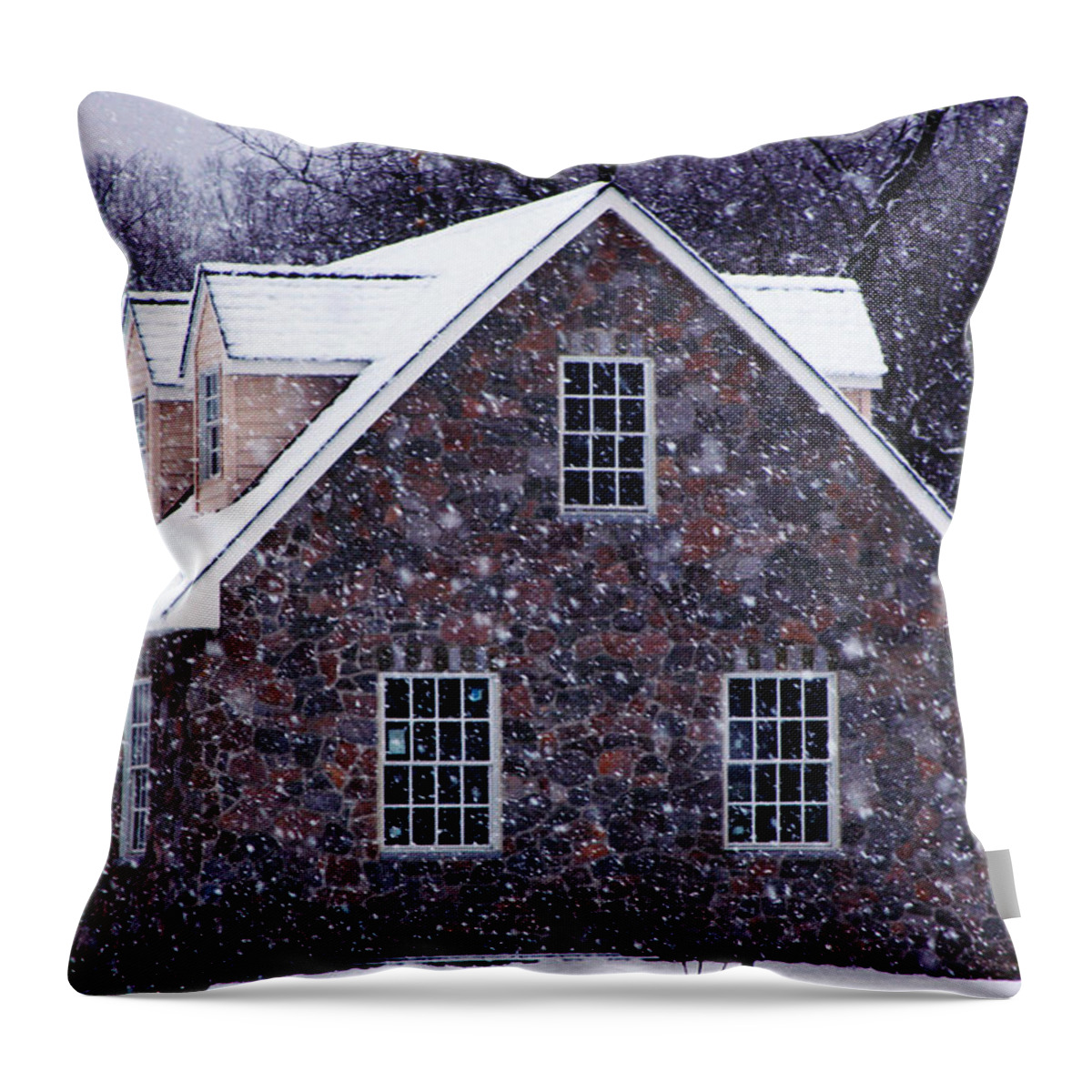 Snow Throw Pillow featuring the photograph Early January snow in Maryland by Andy Lawless