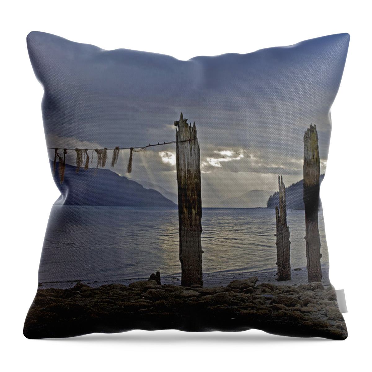 Treadwell Throw Pillow featuring the photograph Early Morning by Cathy Mahnke