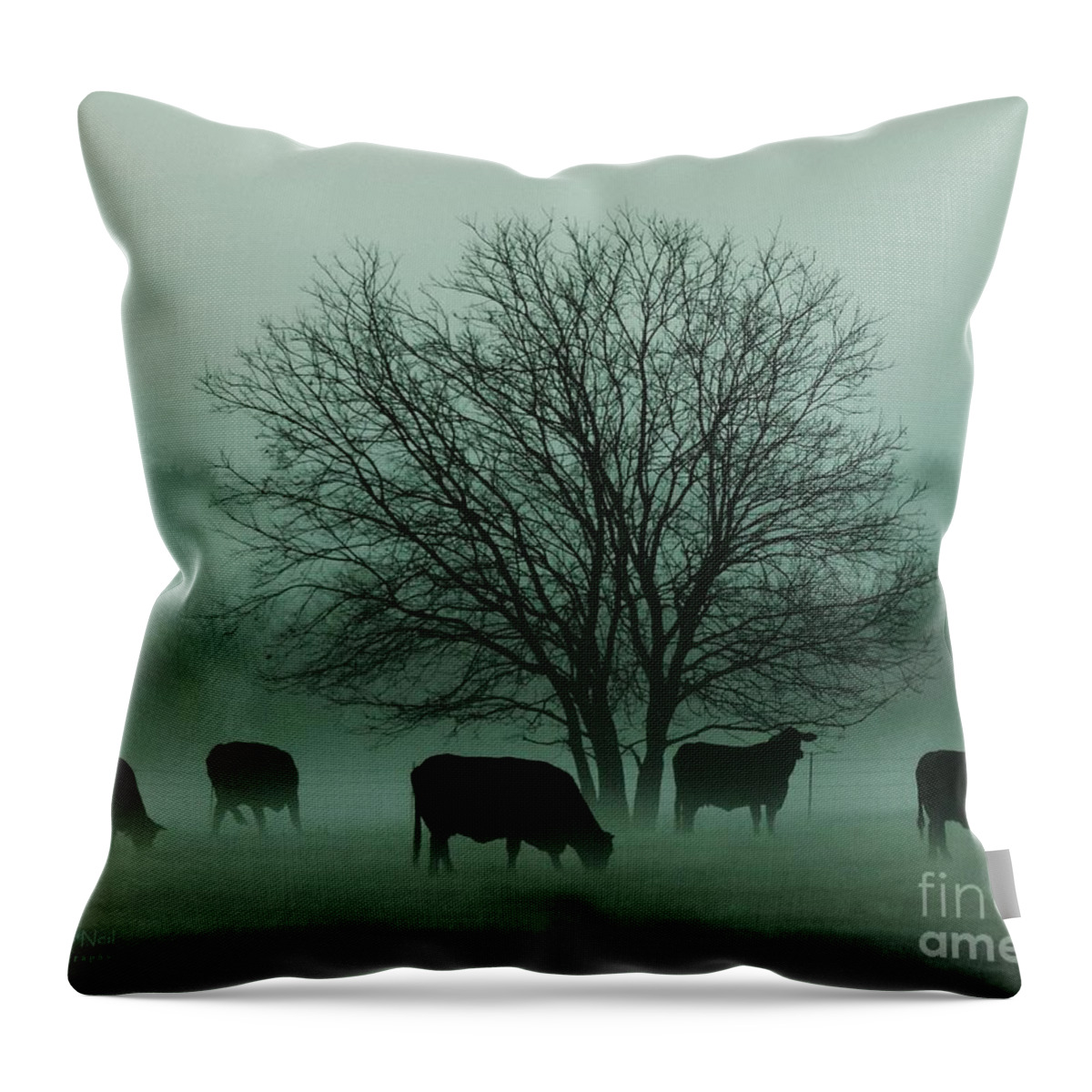 Morning Fog Throw Pillow featuring the photograph Early Morning Fog 003 by Robert ONeil