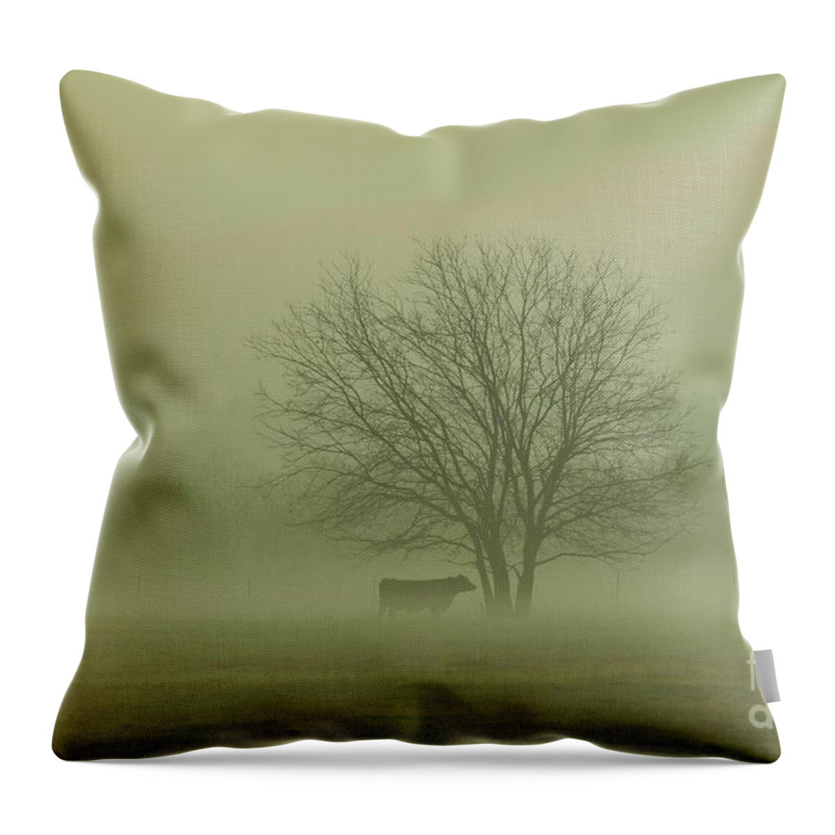 Morning Fog Throw Pillow featuring the photograph Early Morning Fog 009 by Robert ONeil