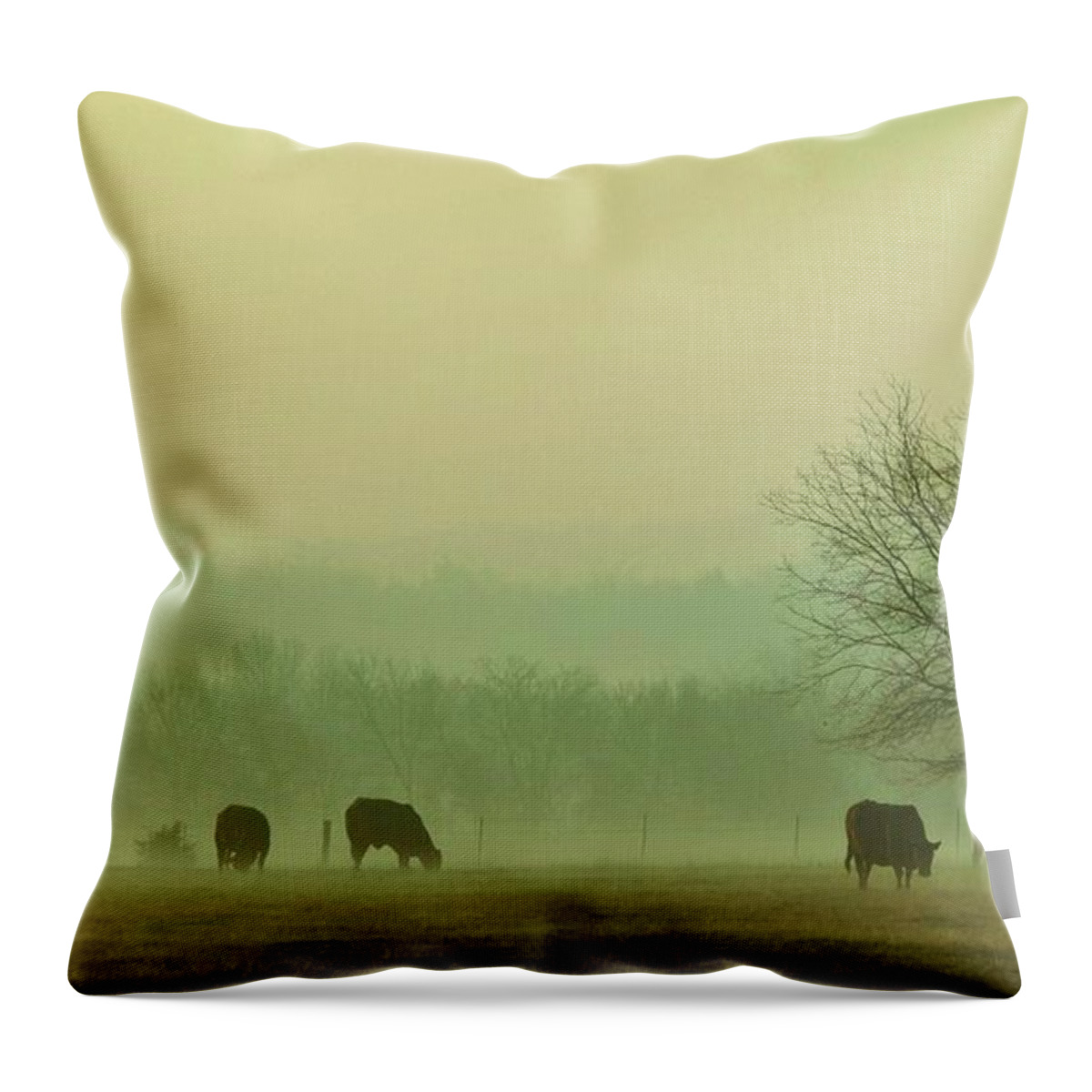 Morning Fog Throw Pillow featuring the photograph Early Morning Fog 014 by Robert ONeil