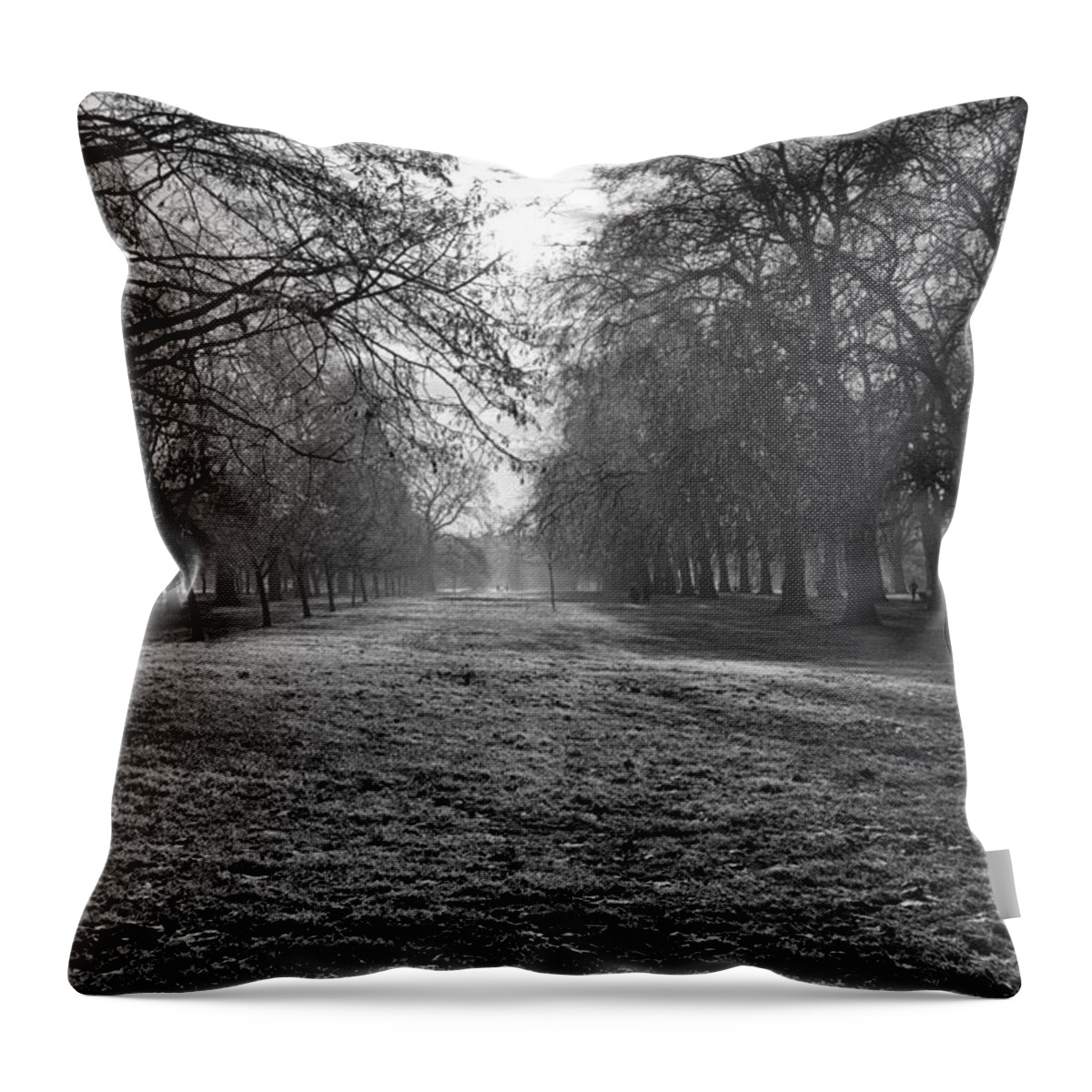 December Throw Pillow featuring the photograph Early Morning in Hyde Park by Leah Palmer