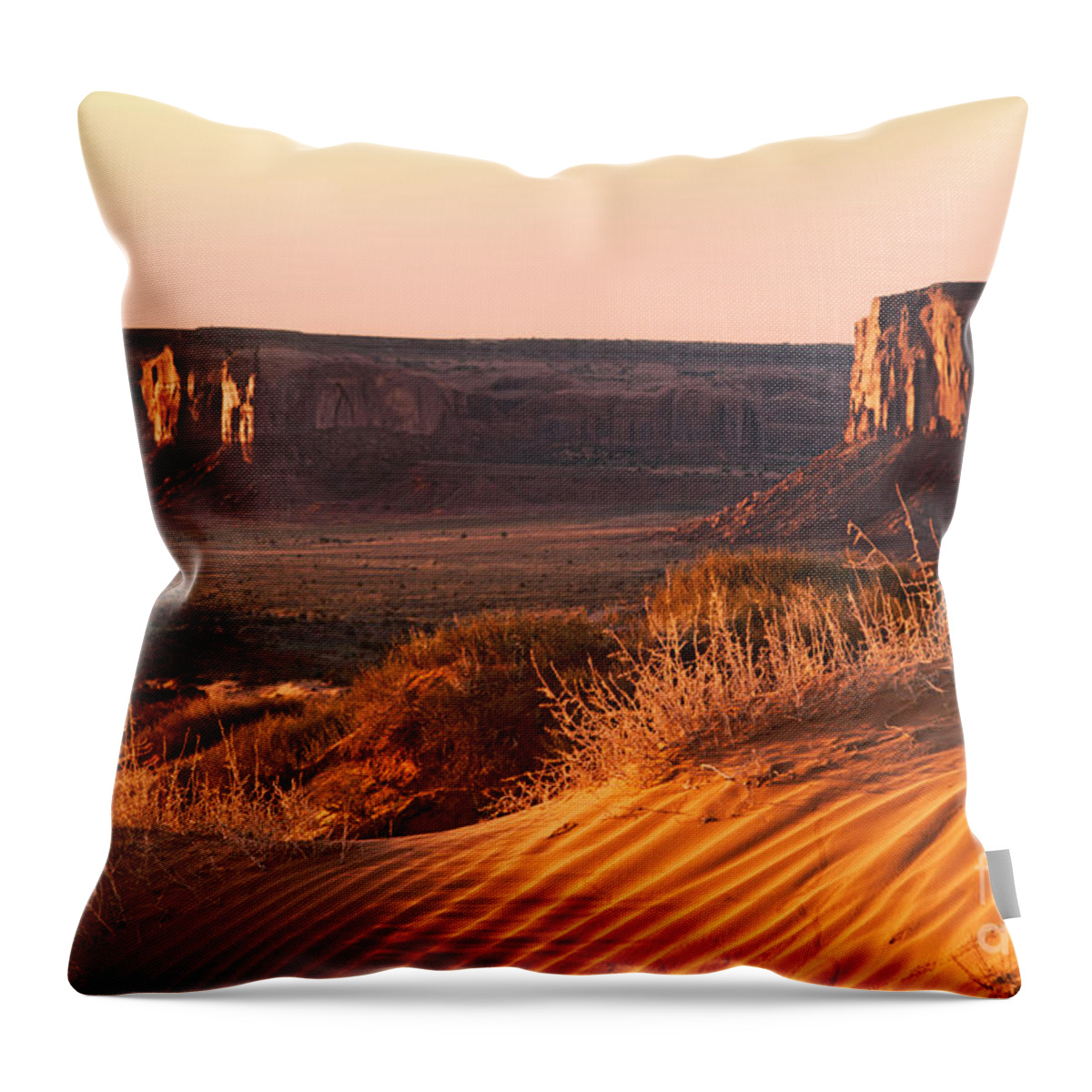 America Throw Pillow featuring the photograph Early morning in Monument Valley by Jane Rix