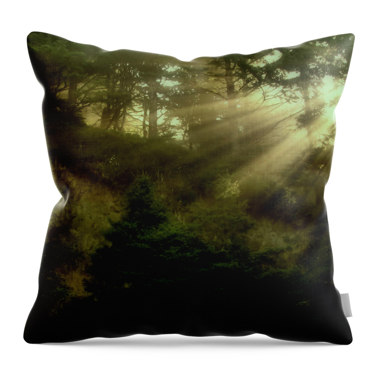 Sunrise Throw Pillow featuring the photograph Early Morning by KATIE Vigil