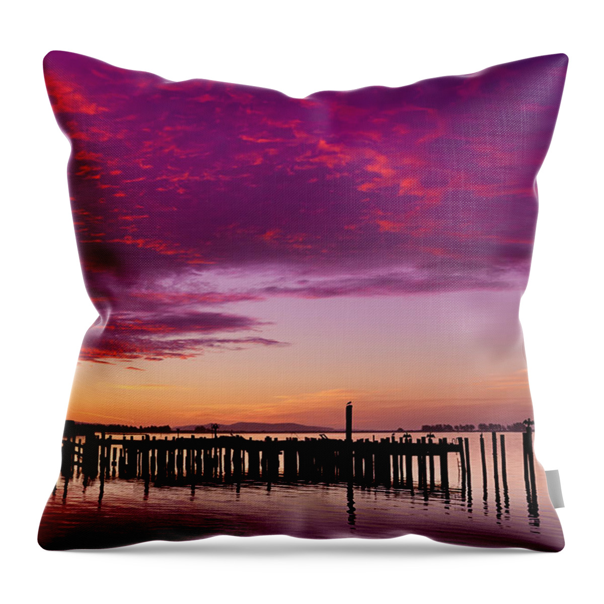 Bodega Bay Throw Pillow featuring the photograph Early Morning Light on Bodega Bay by Kathleen Bishop