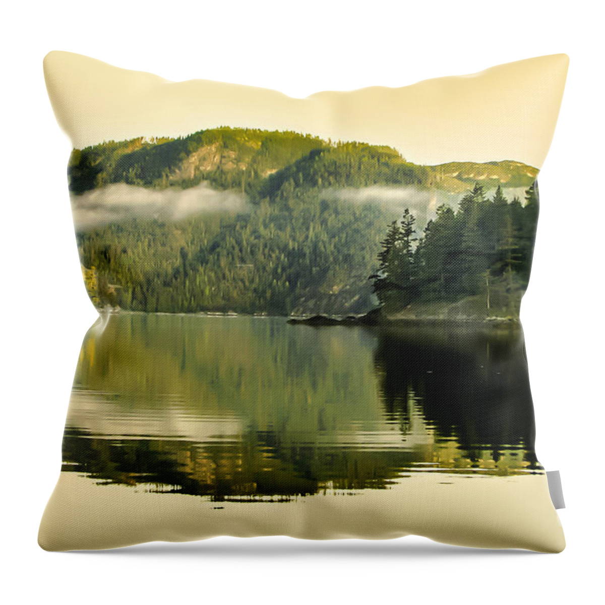 Reflections Throw Pillow featuring the photograph Early Morning Reflections by Robert Bales