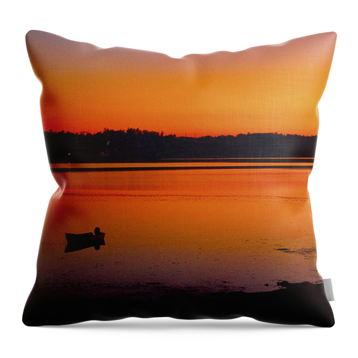 Washington State Throw Pillow featuring the photograph Early Morning by Ron Roberts
