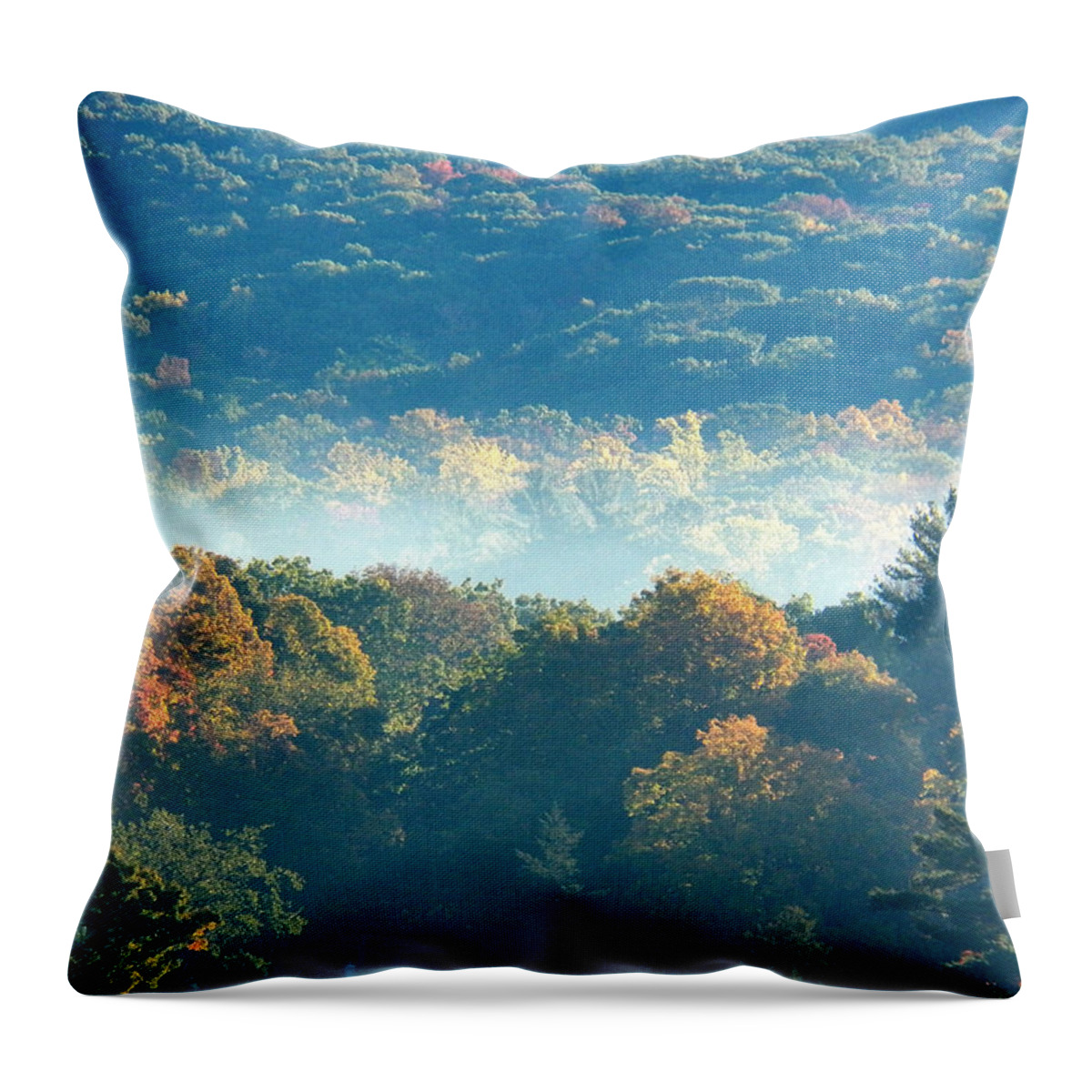 Scenic Throw Pillow featuring the photograph Early Morning by Steven Huszar