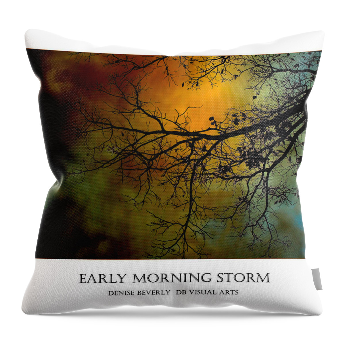 Storm Throw Pillow featuring the photograph Early Morning Storm by Denise Beverly