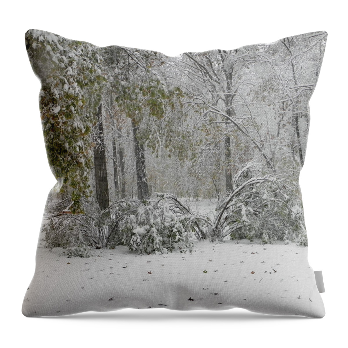 Winter Throw Pillow featuring the photograph Early snow by William Haggart