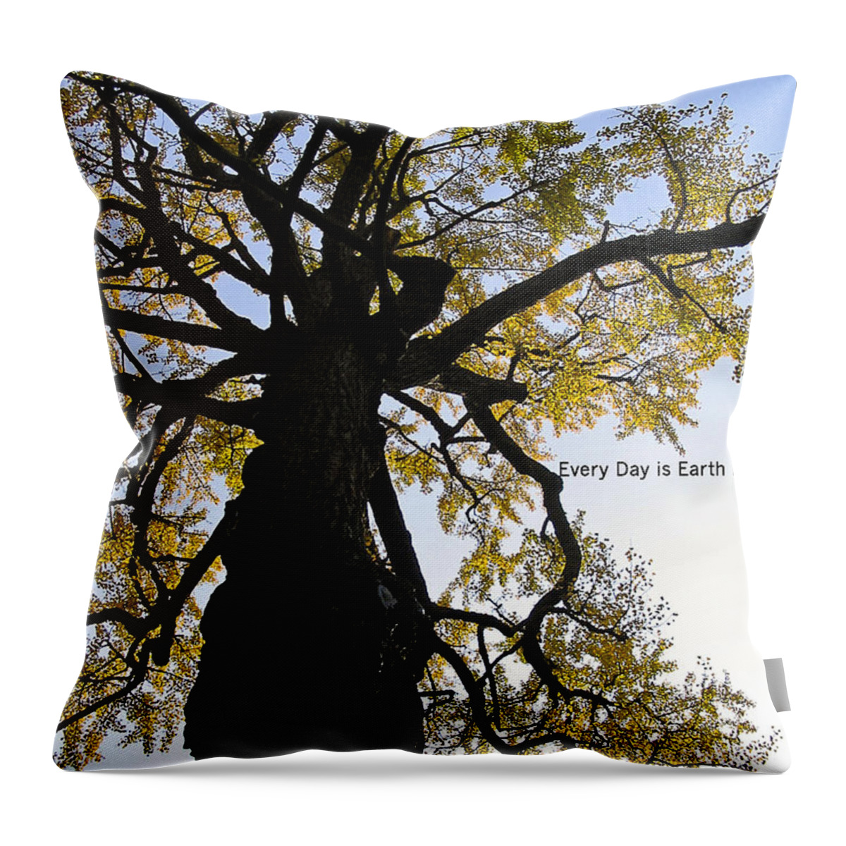 Photography Throw Pillow featuring the photograph Earth Day Special - Ancient Tree by Ivy Ho