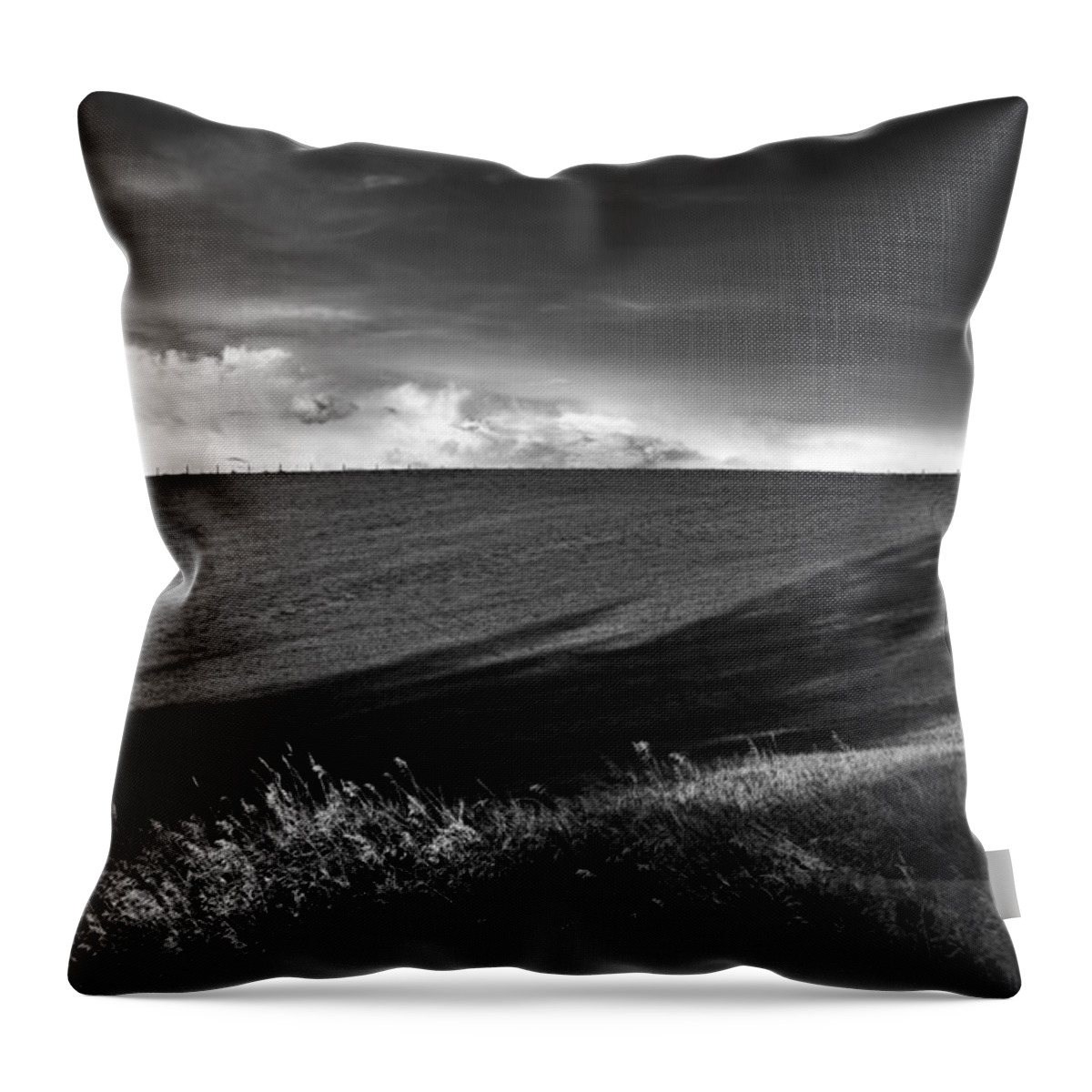 Black And White Throw Pillow featuring the photograph Earth Voices by Theresa Tahara