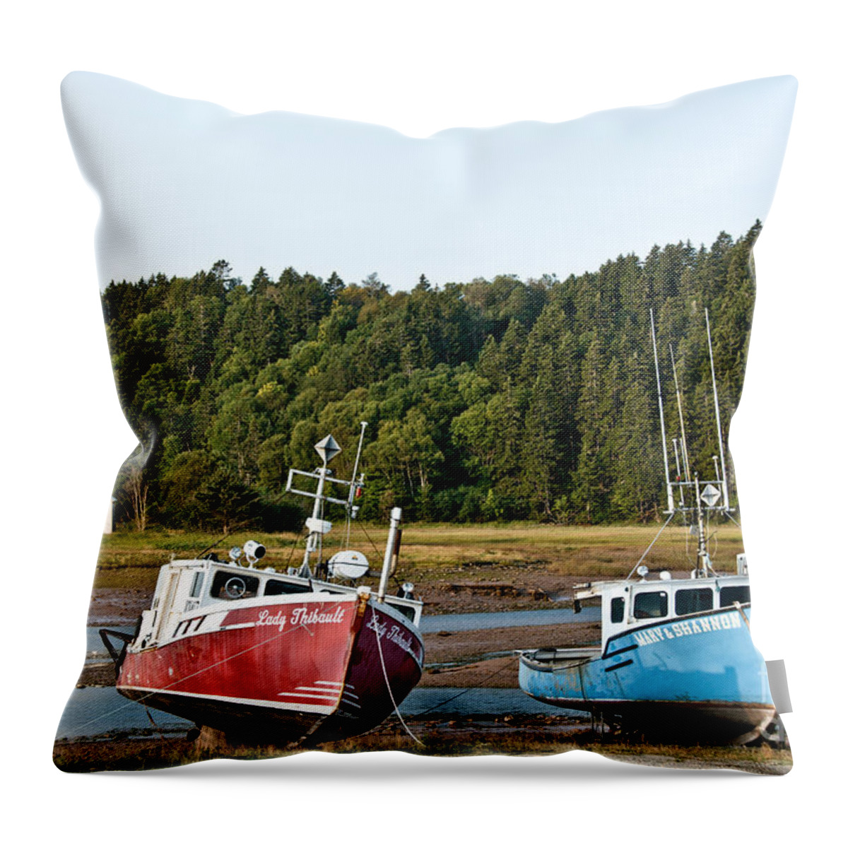  Throw Pillow featuring the photograph East Coast Low Tide Scene by Cheryl Baxter
