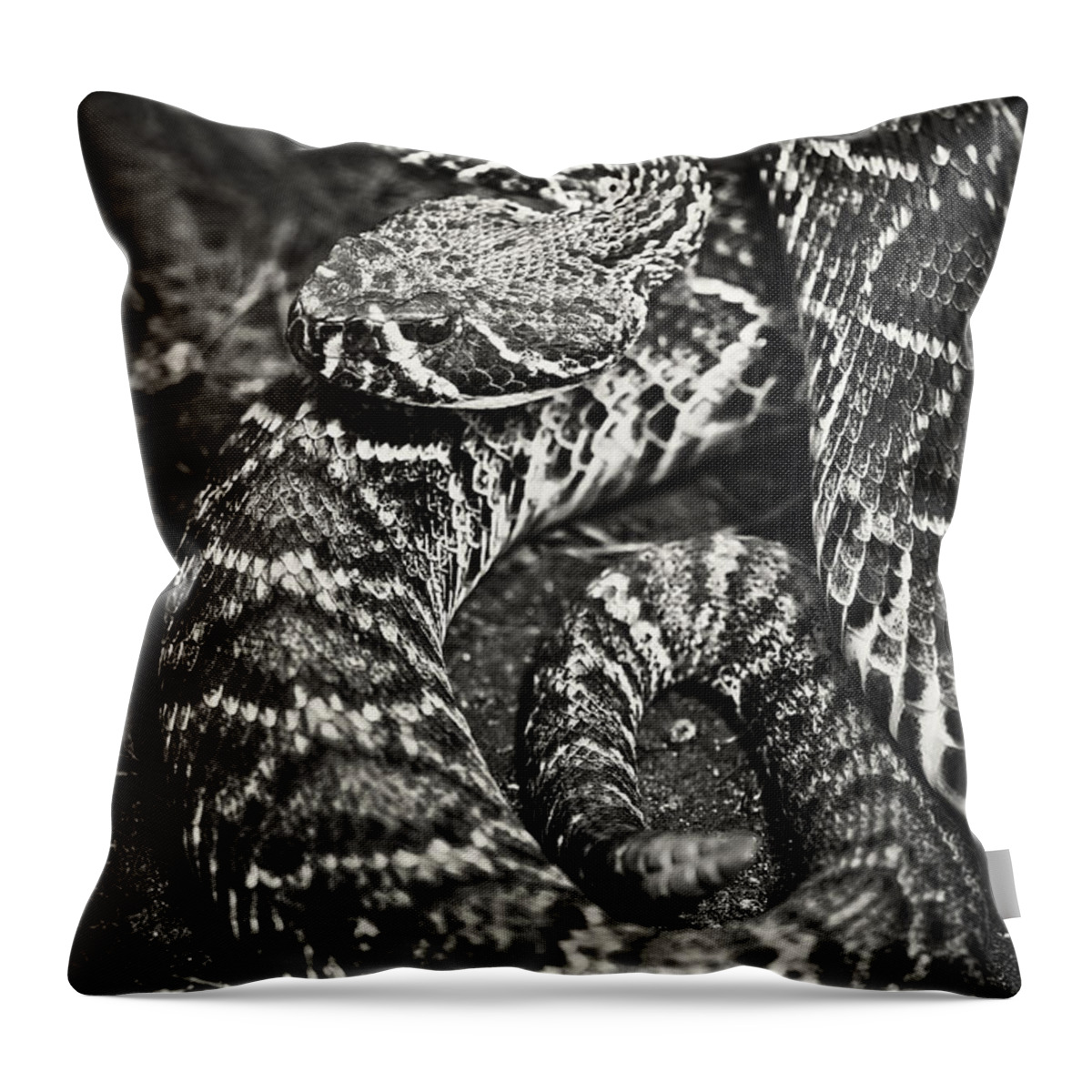 Eastern Throw Pillow featuring the photograph Eastern Diamondback Rattlesnake by Patrick Lynch