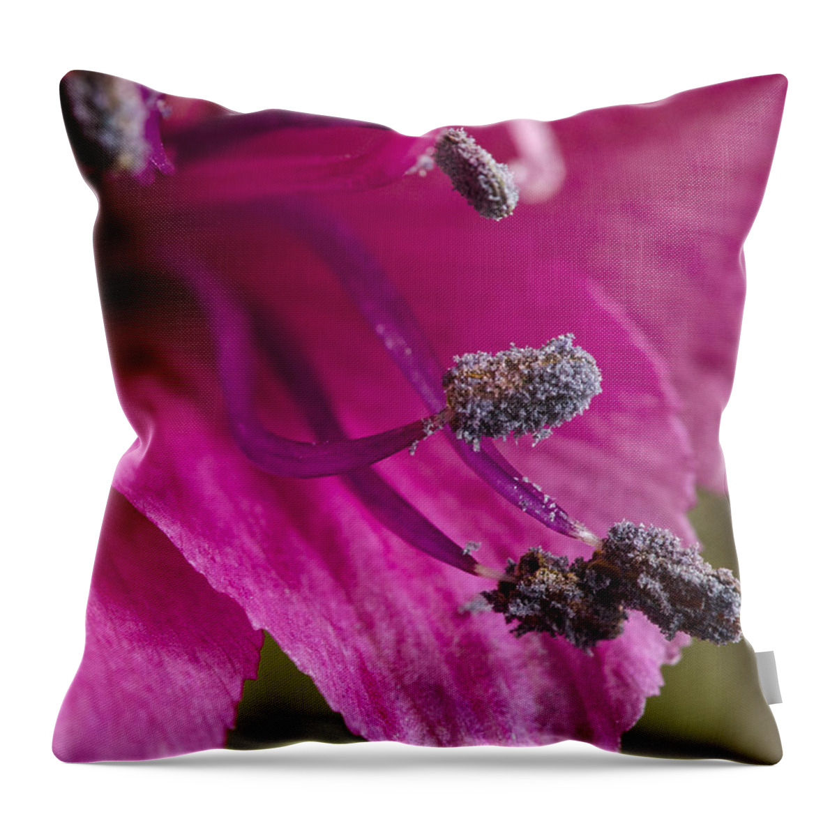 Floral Throw Pillow featuring the photograph Eating Crackers In Bed by Sandra Parlow