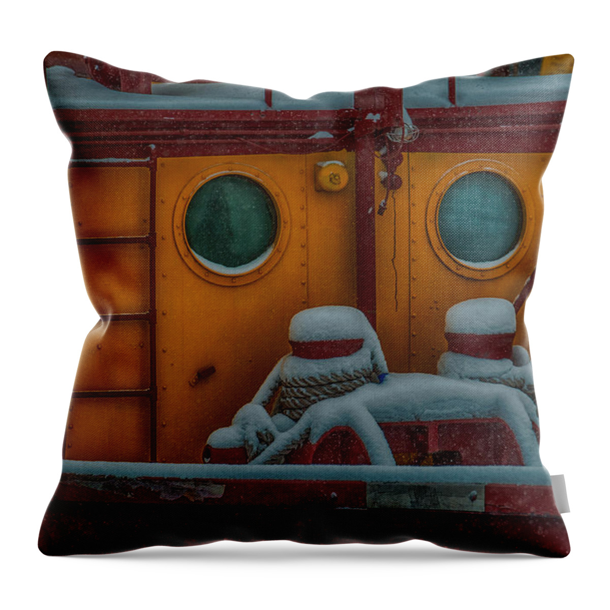 Edna G Throw Pillow featuring the photograph Edna G In The Snow by Paul Freidlund