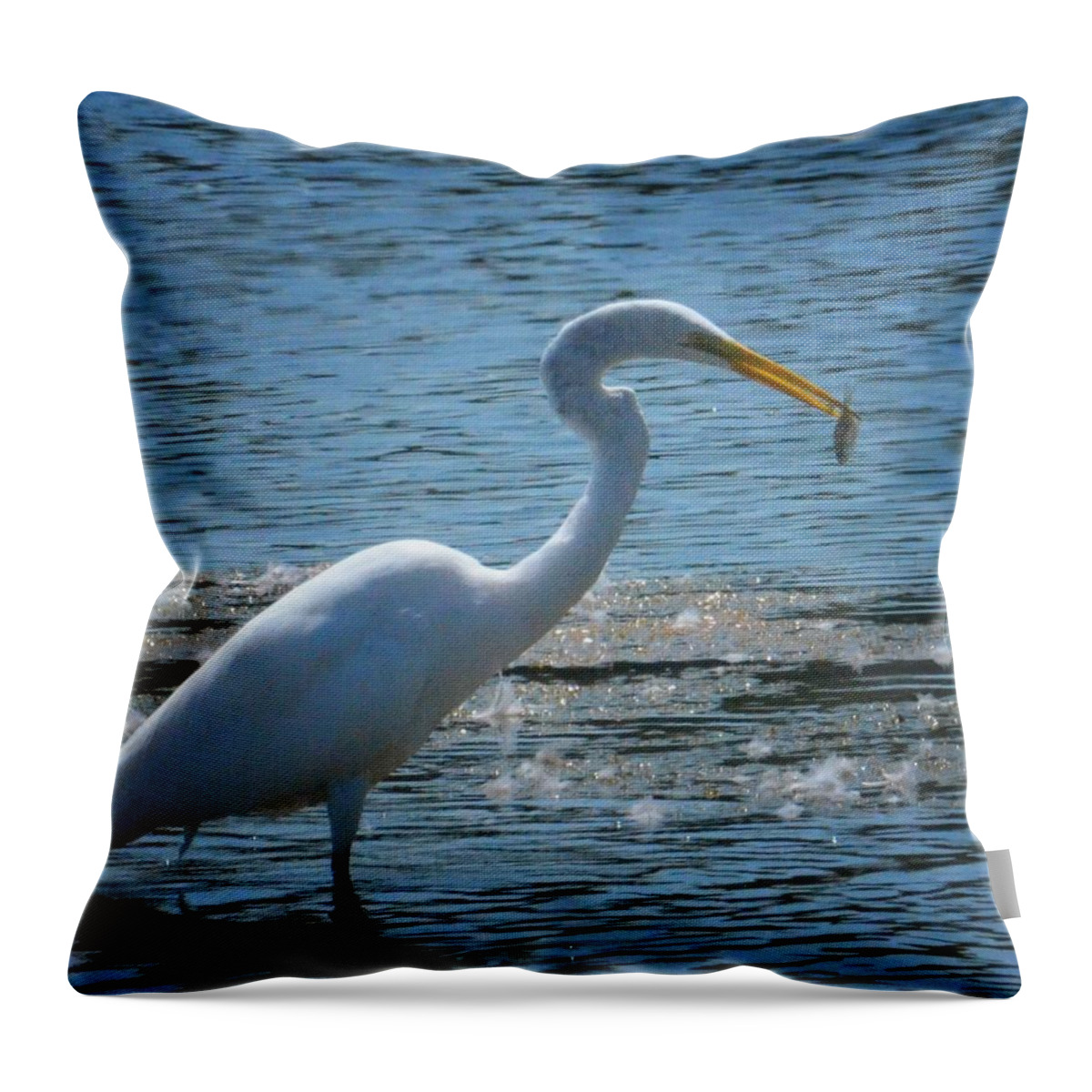 Egret 15-03 Throw Pillow featuring the photograph Egret 15-03 by Maria Urso