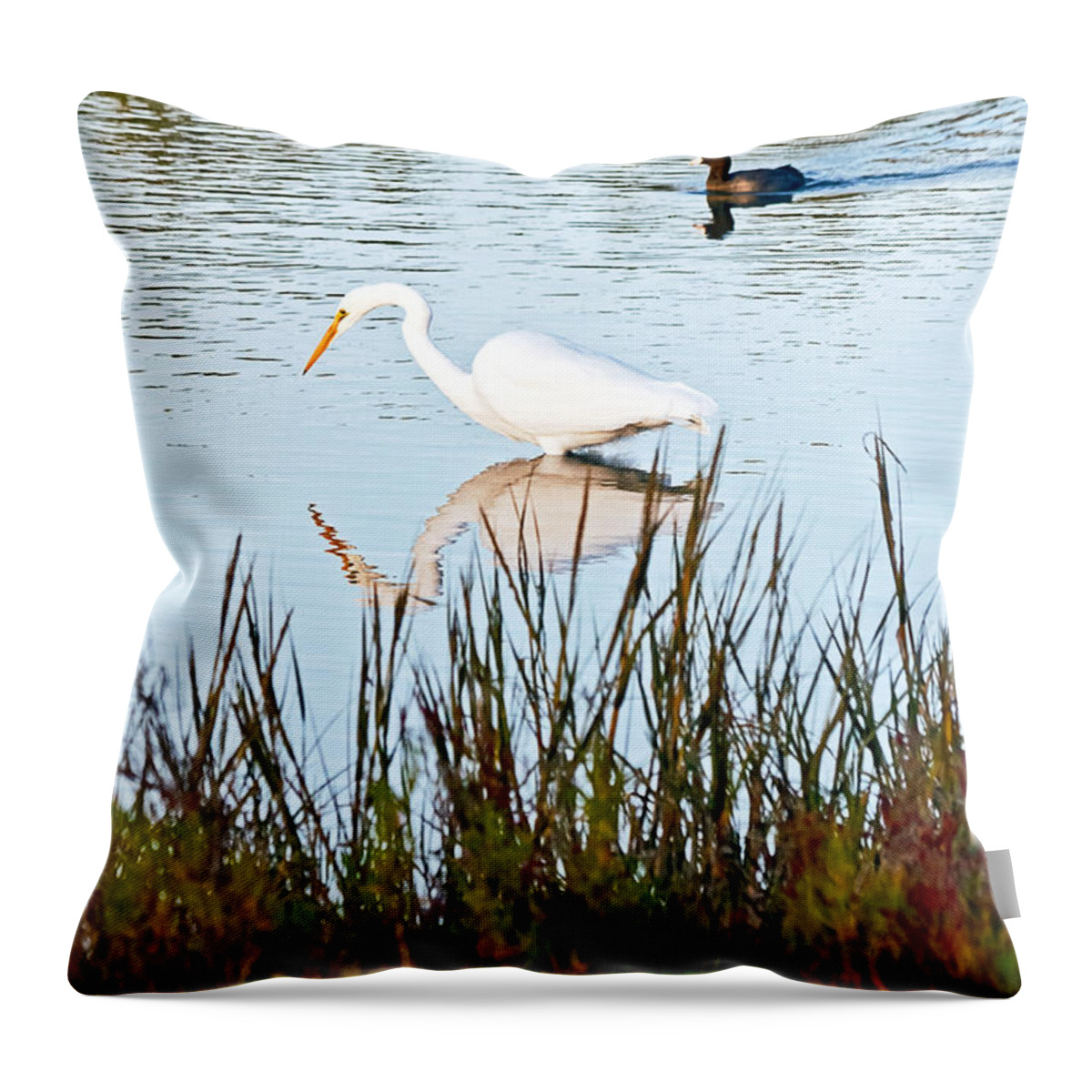 American Coot Throw Pillow featuring the photograph Egret and Coot in Autumn by Kate Brown