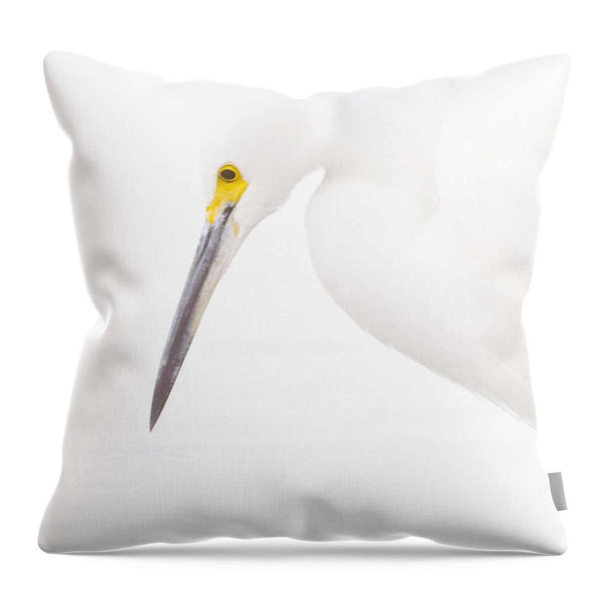 Egret Throw Pillow featuring the photograph Egret headshot by Ruth Jolly