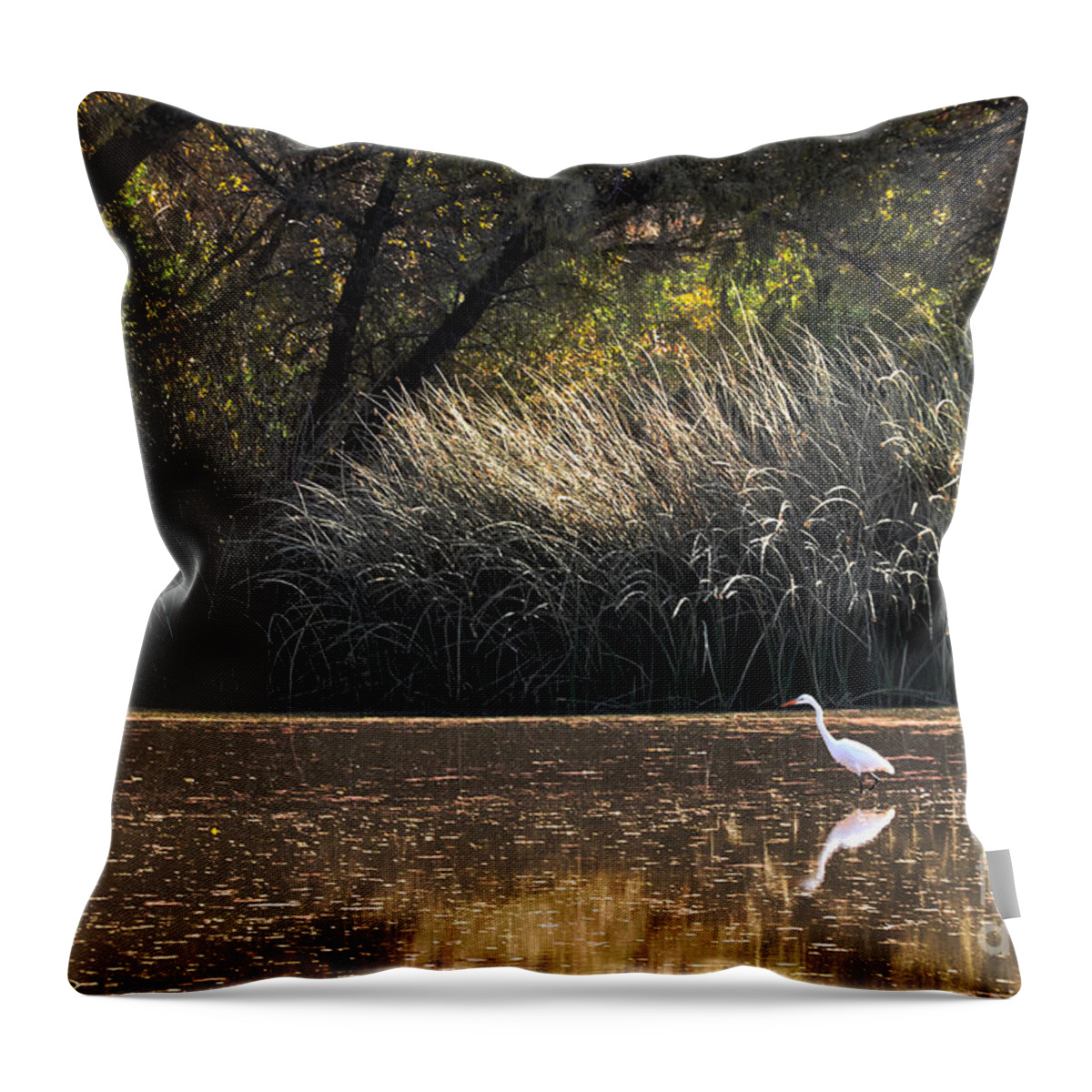 Egret Throw Pillow featuring the photograph Egret Hunting In Pond 2 by Al Andersen