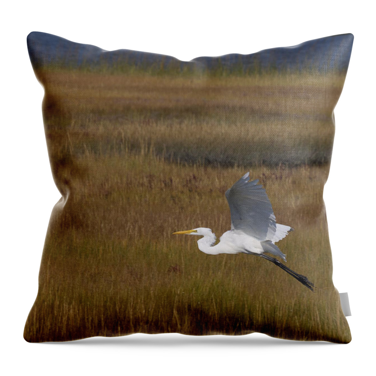 Birds Throw Pillow featuring the photograph Egret in Flight Over Swamp Grass by Paul Ross