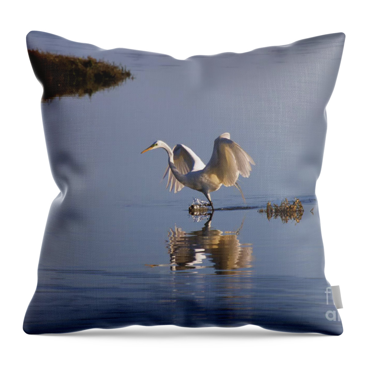 Egret Throw Pillow featuring the photograph Egret Reflections by Michael Dawson