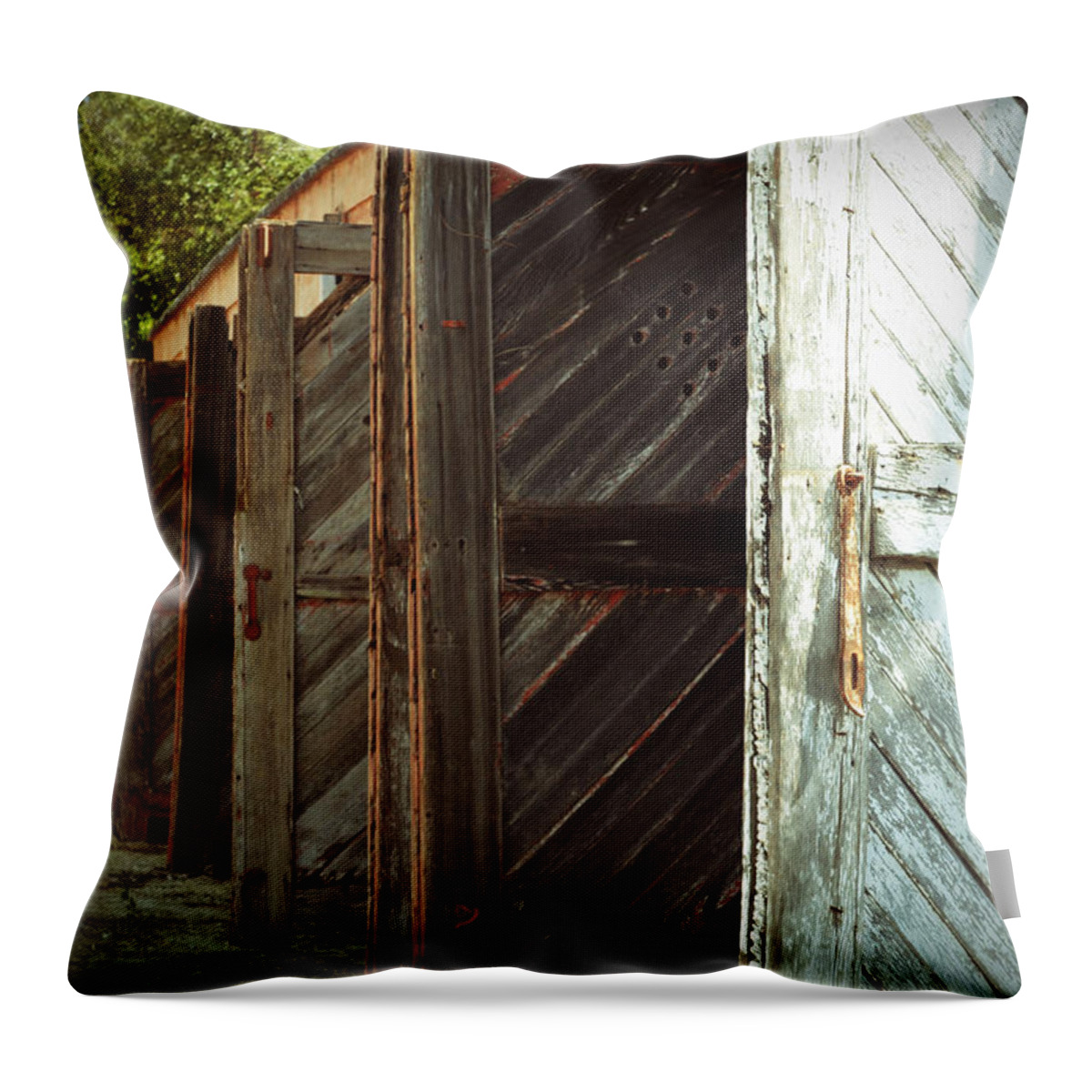  Building Throw Pillow featuring the photograph Eight Doors by Holly Blunkall