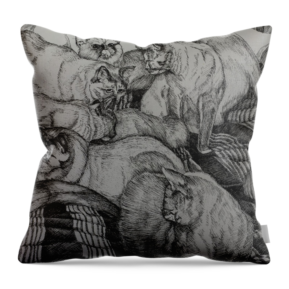 Cats Throw Pillow featuring the drawing Eight is Enough by Janet Felts