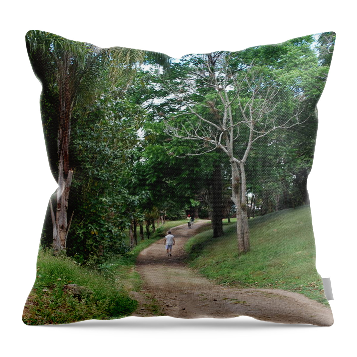 Tree Green Field Throw Pillow featuring the photograph El Valle by Rebeca Segura
