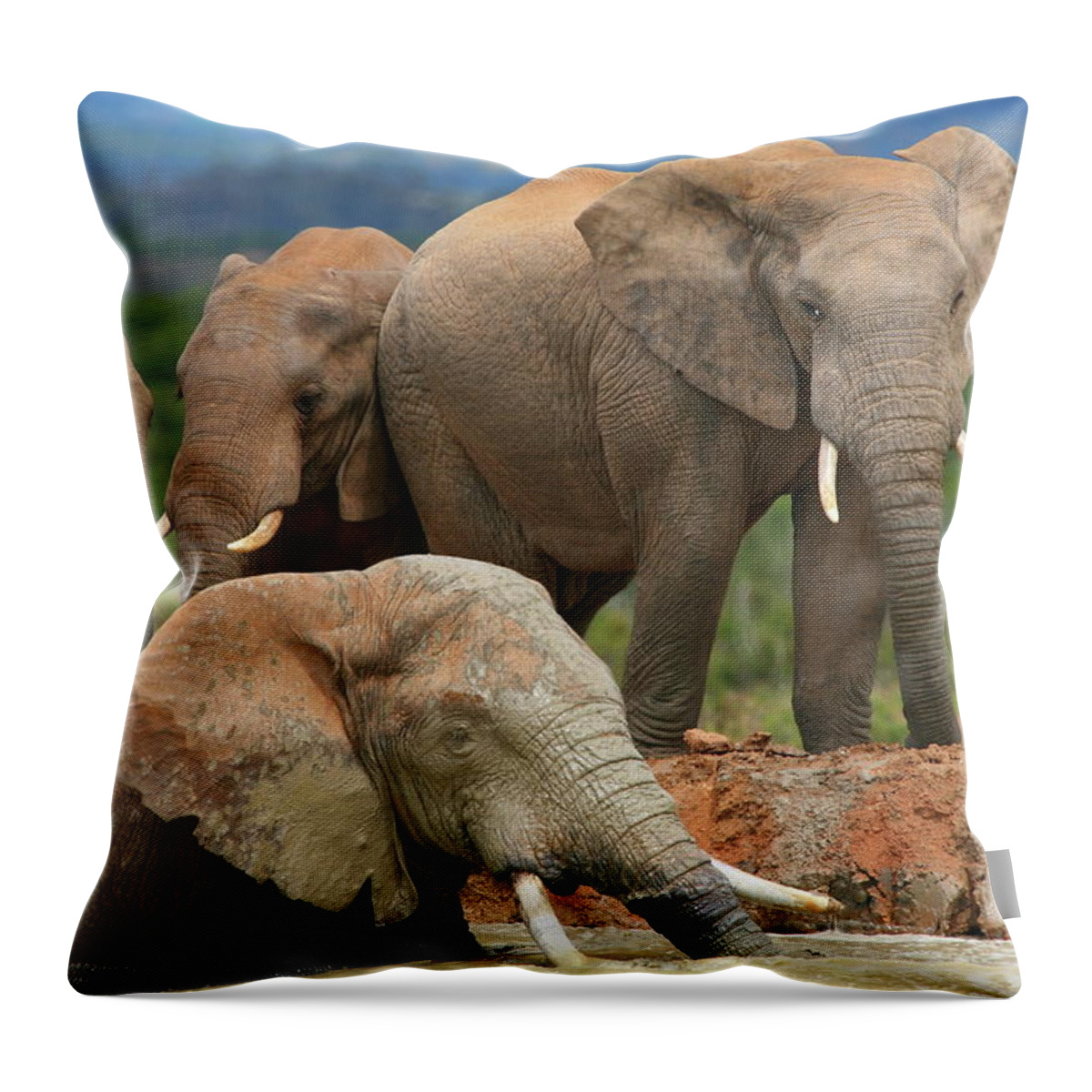 Elephant Throw Pillow featuring the photograph Elephant Bath by Bruce J Robinson