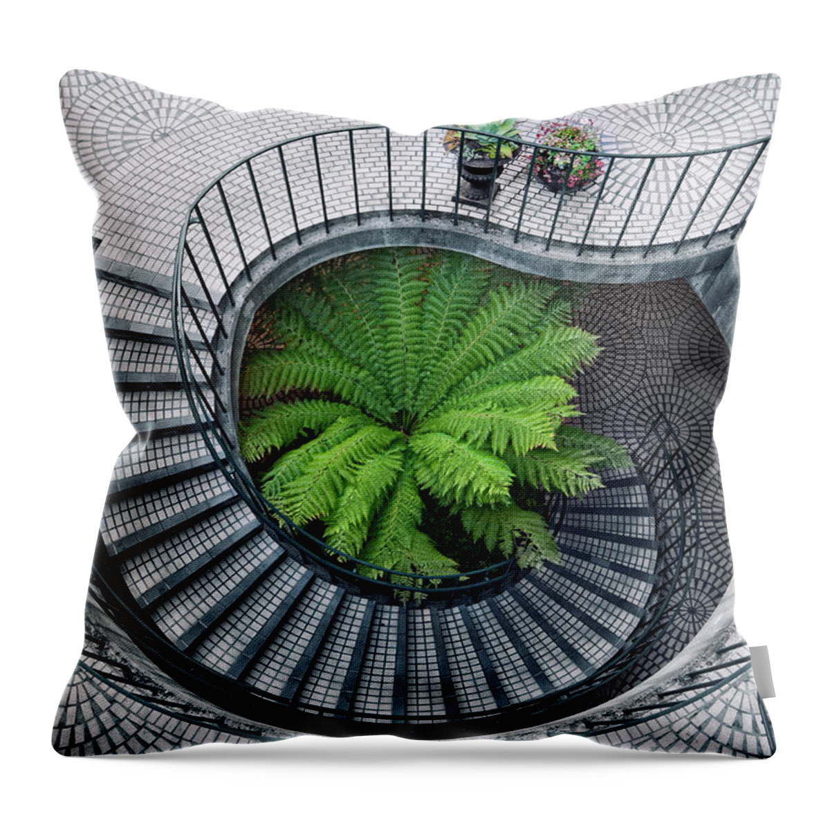 San Francisco Throw Pillow featuring the photograph Elephant Fern by Lee Sie Photography