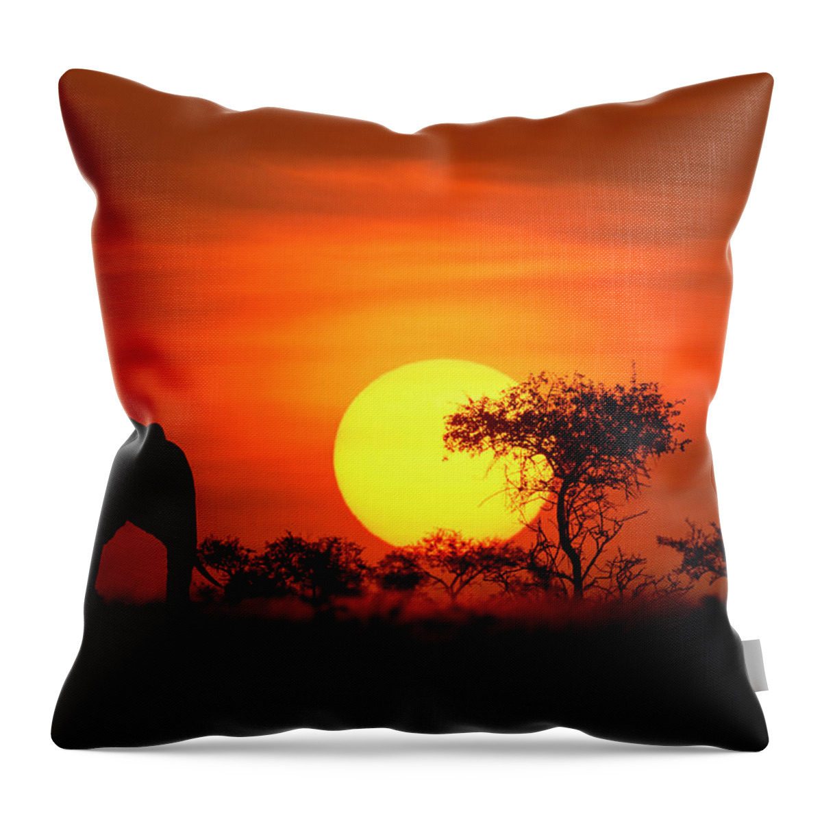 Scenics Throw Pillow featuring the photograph Elephant In Front Of A Perfect African by Guenterguni