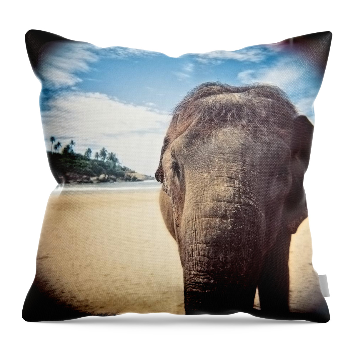 Animals Throw Pillow featuring the photograph Elephant on the Beach by Carol Whaley Addassi