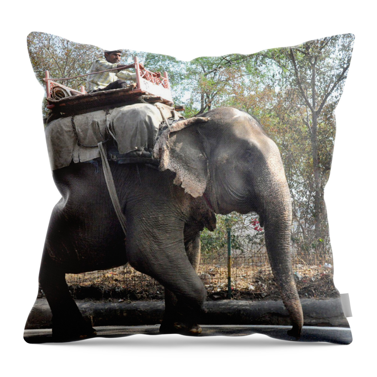 India Throw Pillow featuring the photograph Elephant on the road in India by Diane Lent