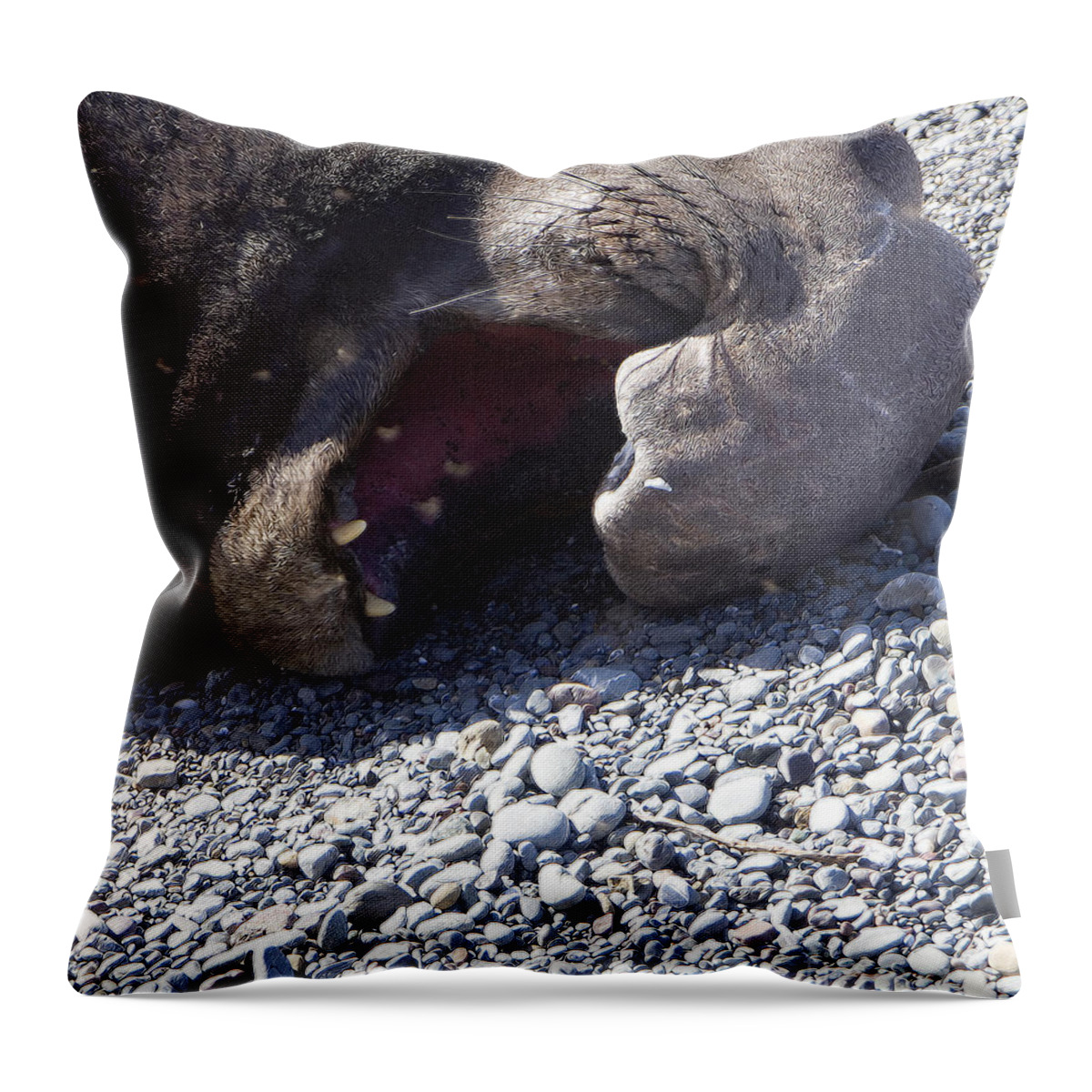 Wildlife Throw Pillow featuring the photograph Elephant Seal Yawn by Rich Collins