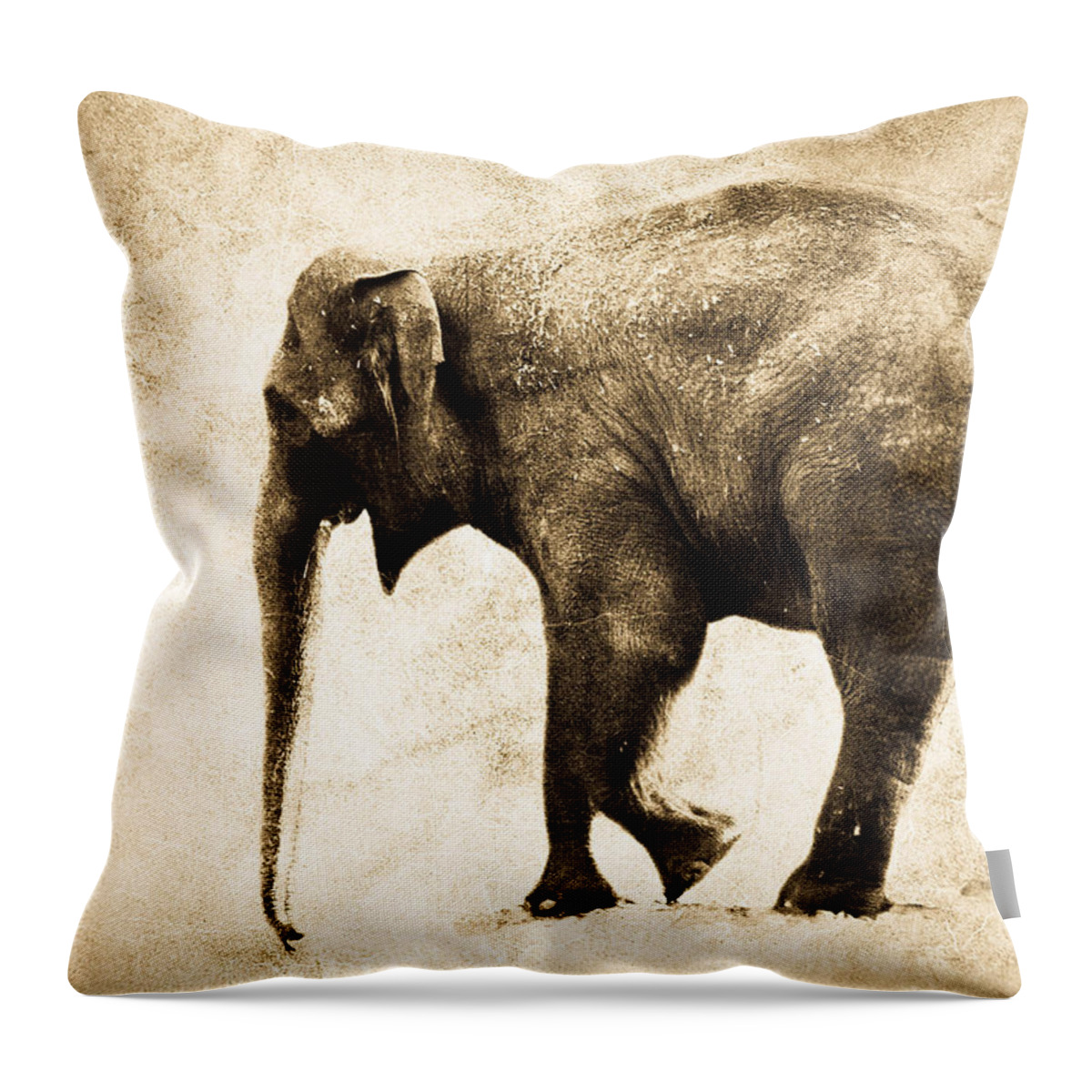 Elephant Throw Pillow featuring the photograph Elephant Walk by Athena Mckinzie