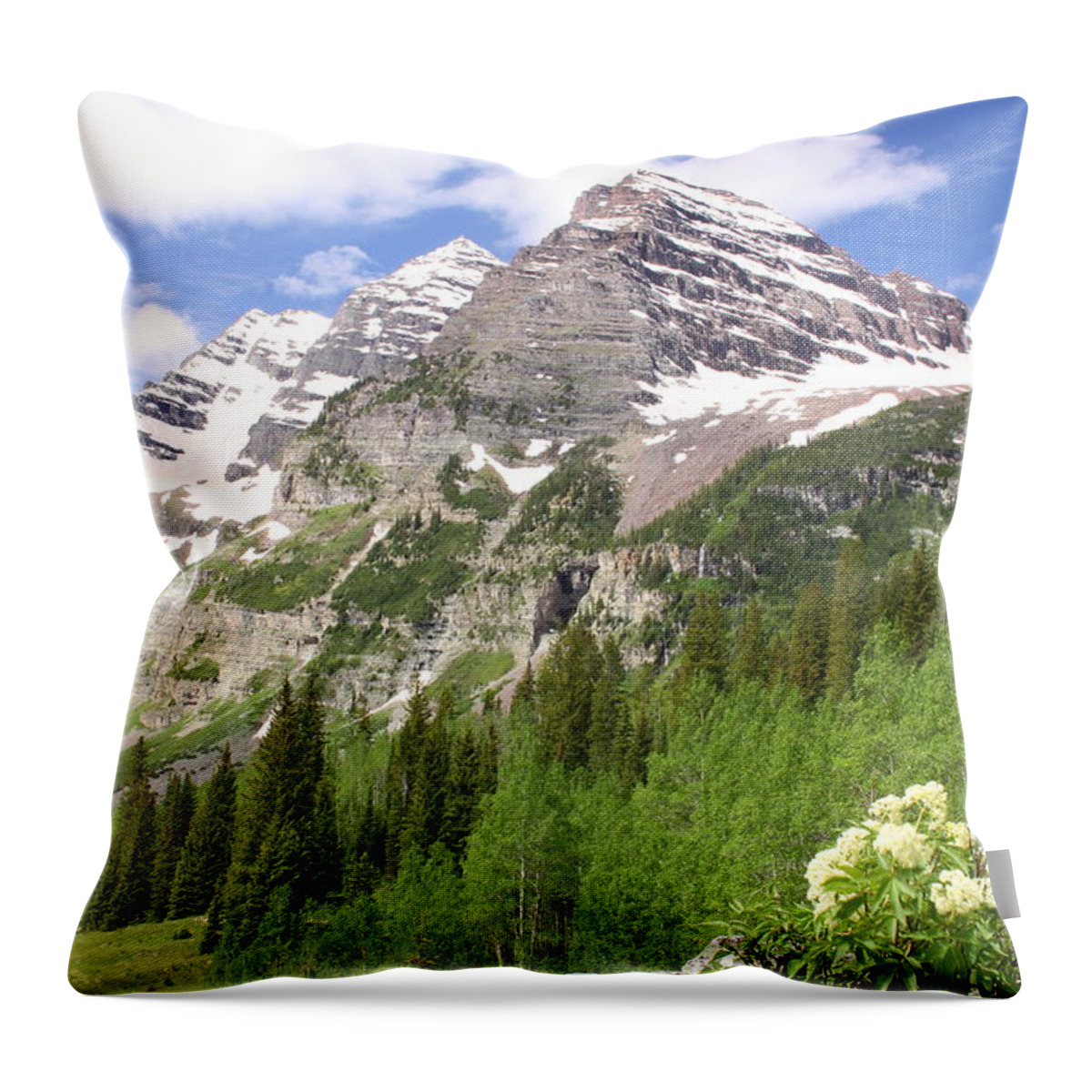 Landscapes Throw Pillow featuring the photograph Elk Mountains by Eric Glaser