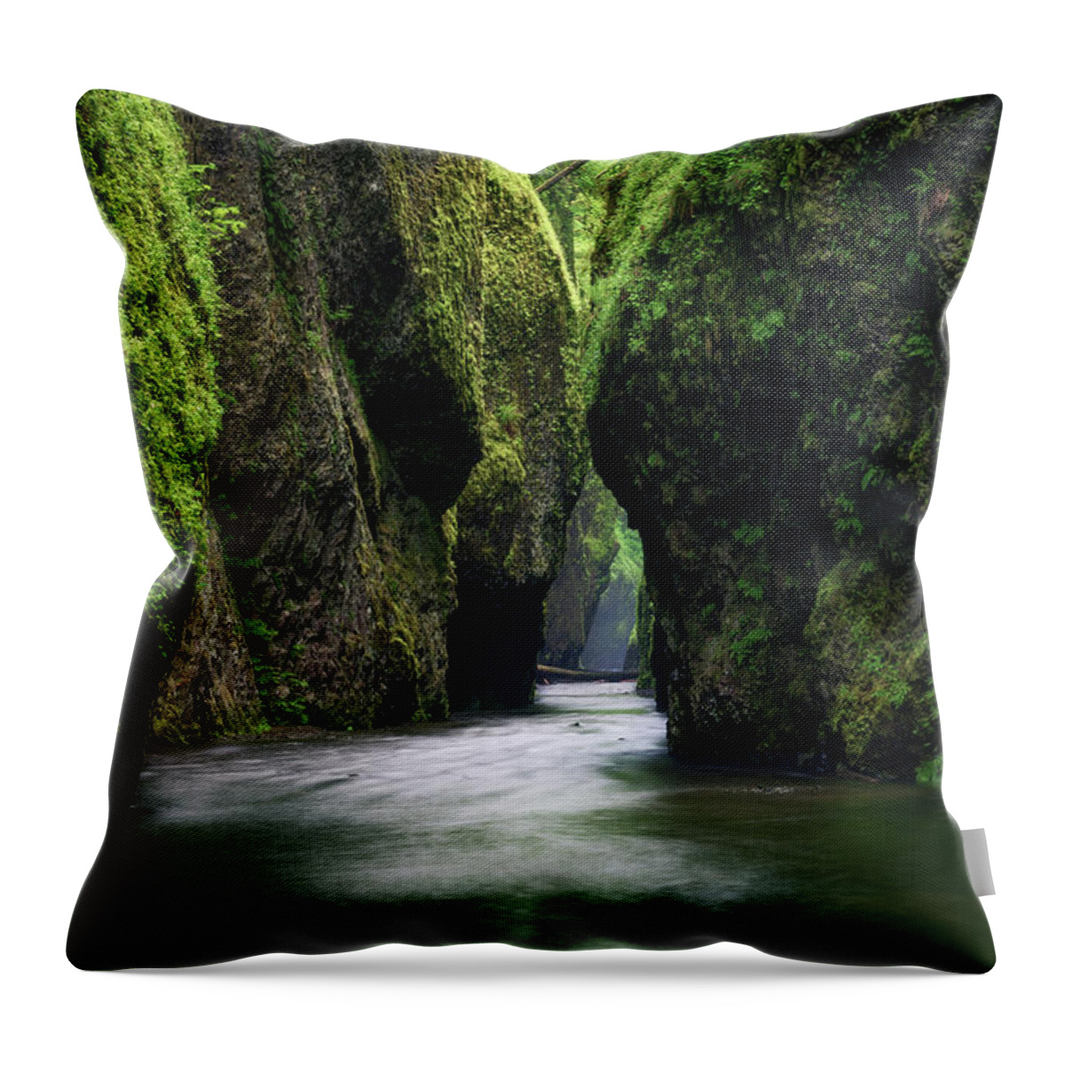Scenics Throw Pillow featuring the photograph Emerald Canyon by Chris Moore - Exploring Light Photography