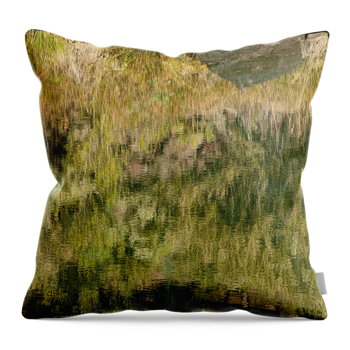 Abstract Throw Pillow featuring the photograph Emerald Cast by Britt Runyon
