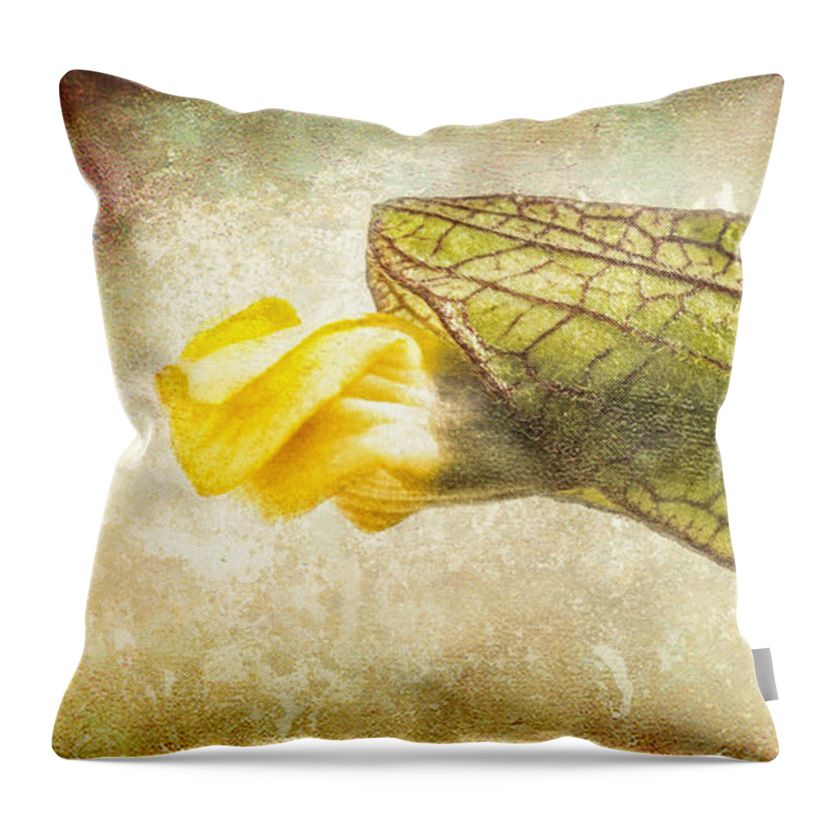 Bud Throw Pillow featuring the photograph Emerging by Caitlyn Grasso