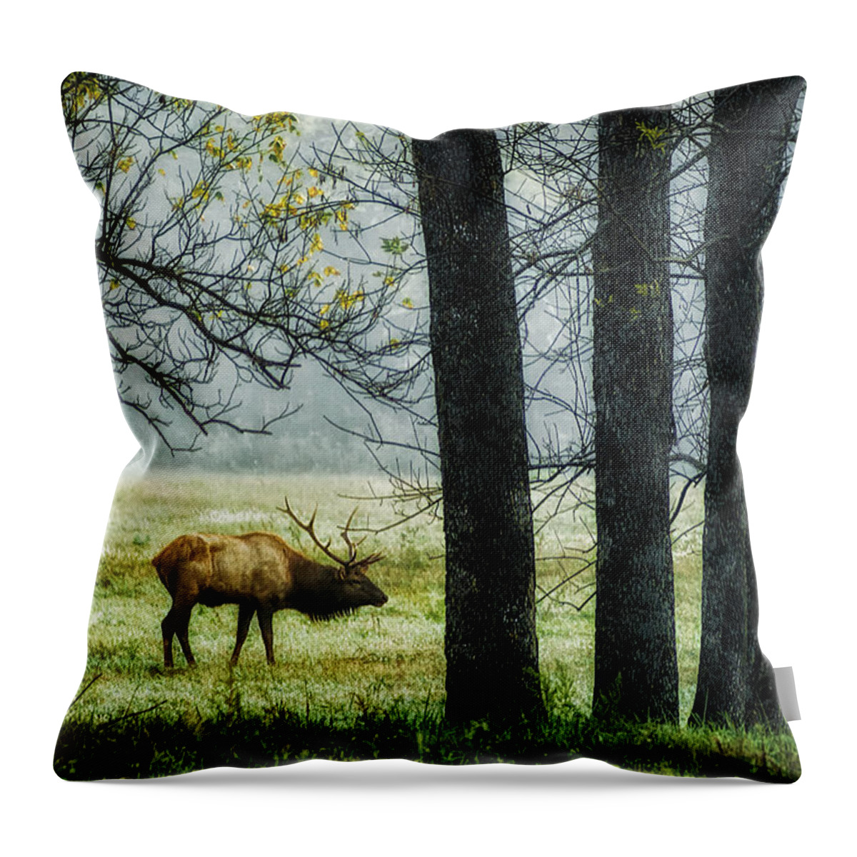 Elk Throw Pillow featuring the photograph Emerging from the Fog by Priscilla Burgers