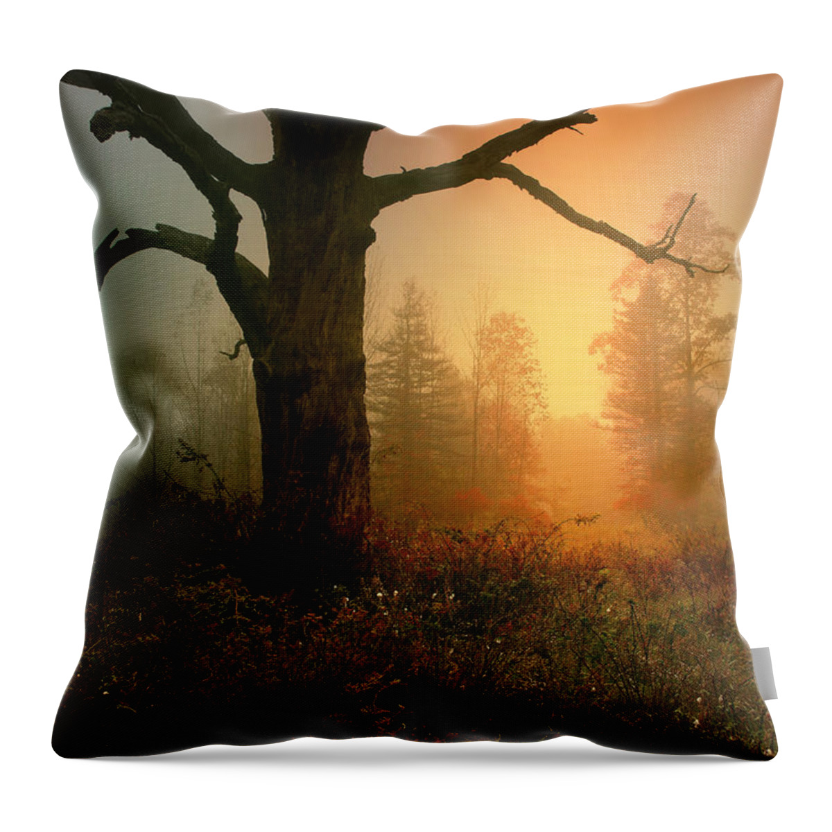 Landscape Throw Pillow featuring the photograph Emerging Hope by Rob Blair