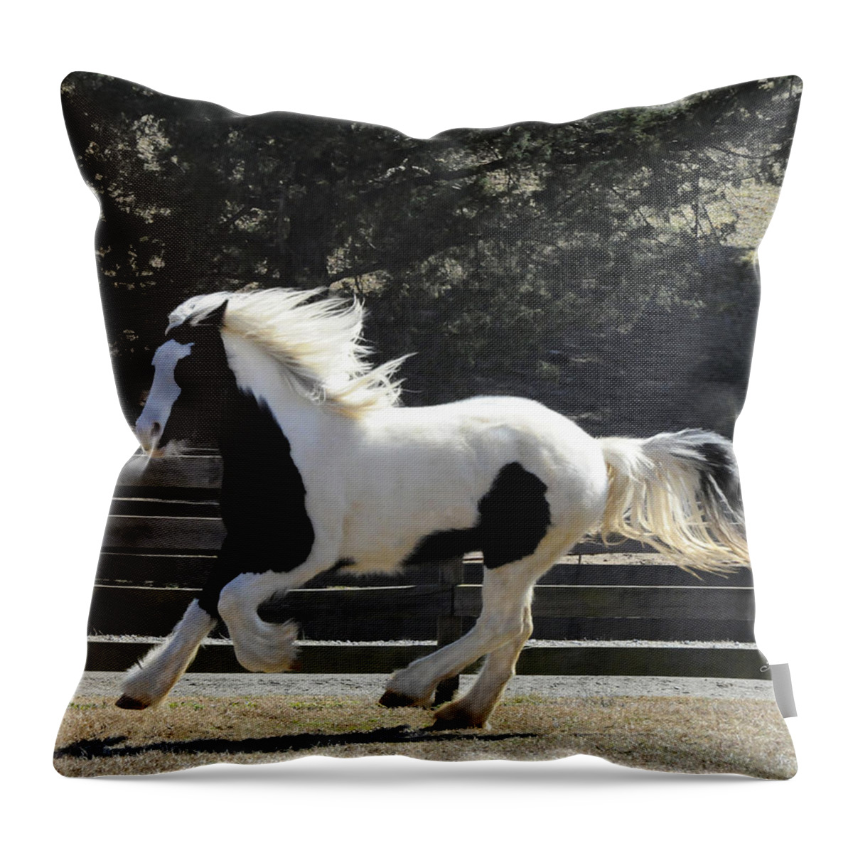  Throw Pillow featuring the photograph Emma So Graceful by Terry Kirkland Cook