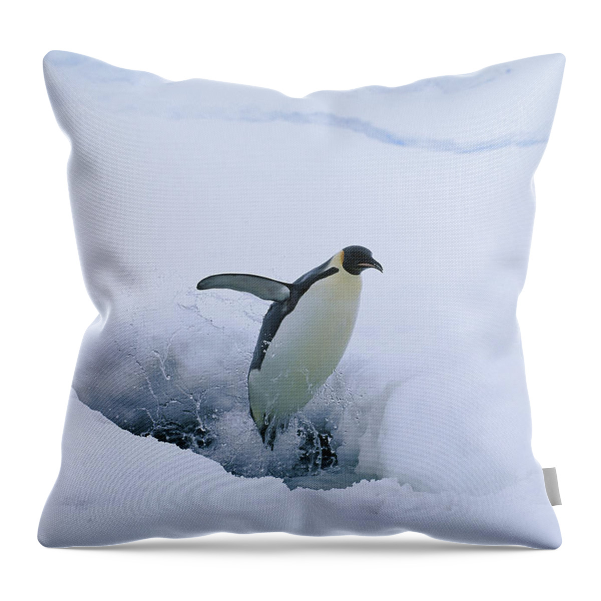 Feb0514 Throw Pillow featuring the photograph Emperor Penguin Leaping Through Ice by Pete Oxford