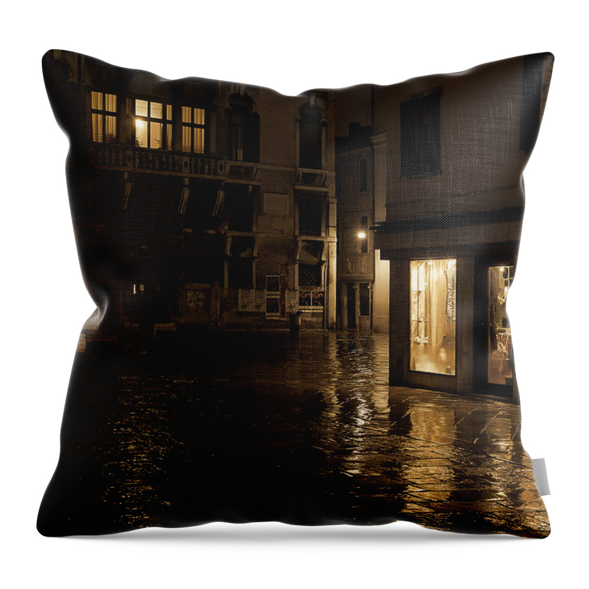 Venice Throw Pillow featuring the photograph Winter's night in Venice by Marion Galt